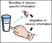 Image: Picture of handling perspective